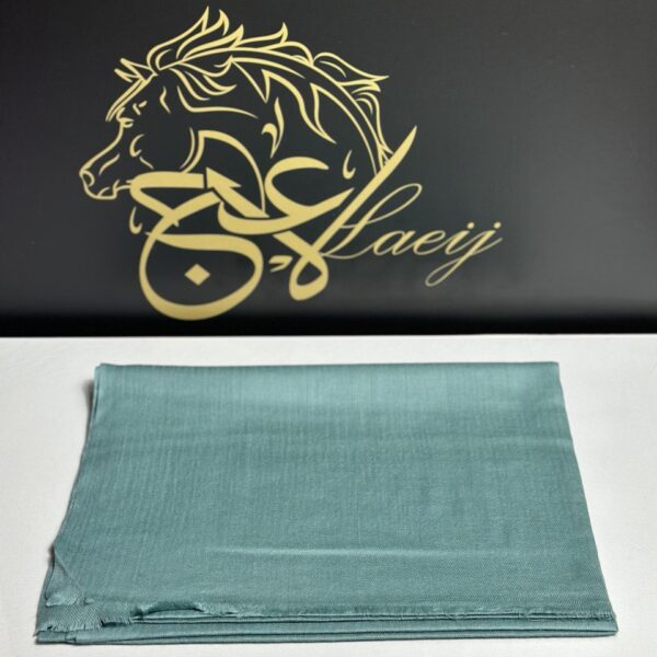 WOMEN’S GREEN SHAL HALF PASHMINA