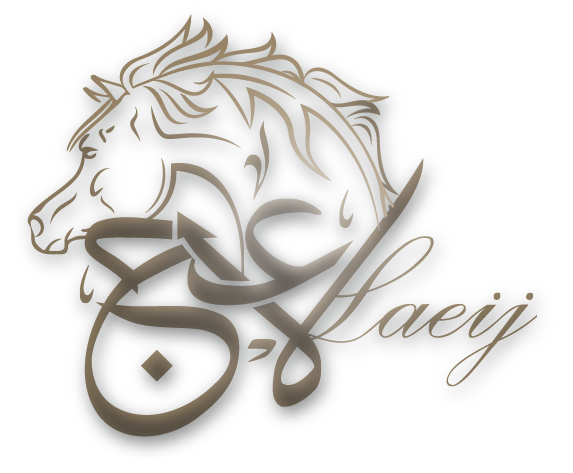 Laeij