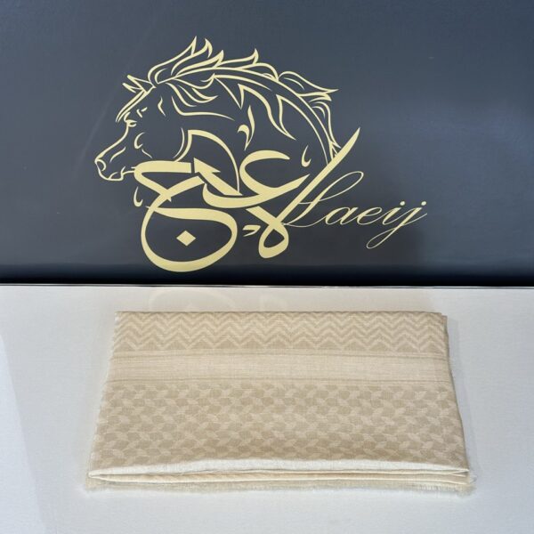 PASHMINA SHAL WITH COMPUTER PRINTE BEIGE COLOR