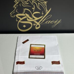 A LUXURIOUS FULLY HANDMADE PASHMINA BEIGE COLOR SHAL