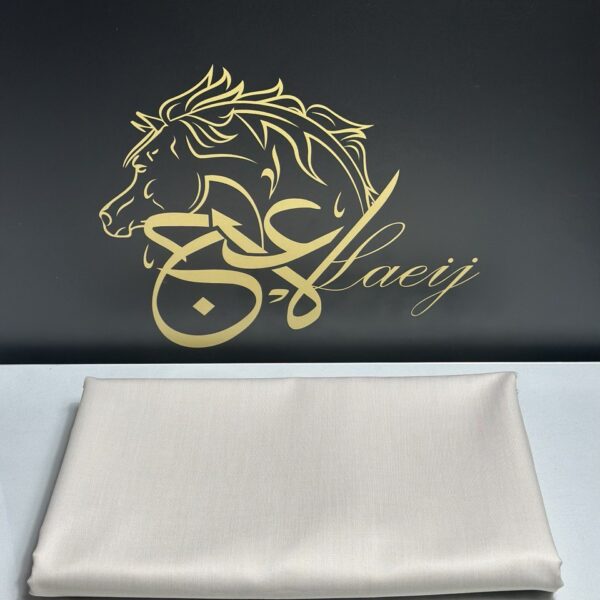 ELEGANT MEN’S WOOL IN CREAMY COLOR WITH A GOLDEN SHINE