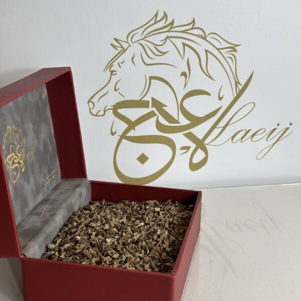CODY MURI OUD (16)
