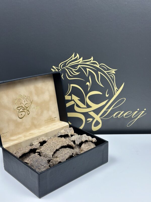 CHAR OUD 41