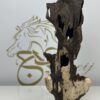 RARE PIECE